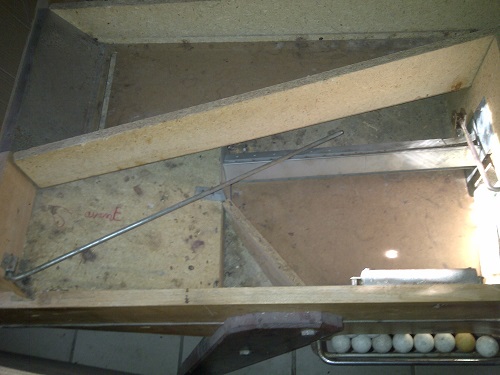 IMG-20130605-00017.jpg
